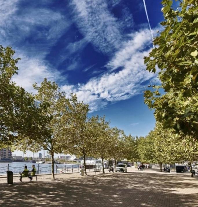 Lovely Waterfront Flat Canary Wharf Excel Centre Apartment London Ngoại thất bức ảnh